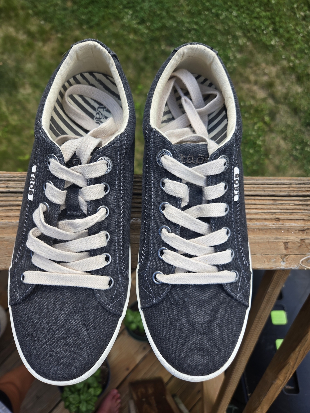 Taos Star Canvas Sneaker Charcoal Womens 7